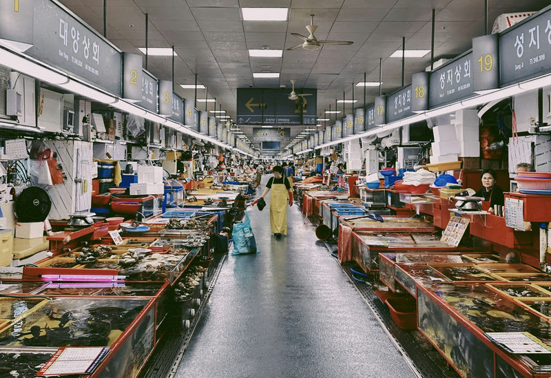 Perspective on Traditional Market Model – Part 1: The fish market in Busan