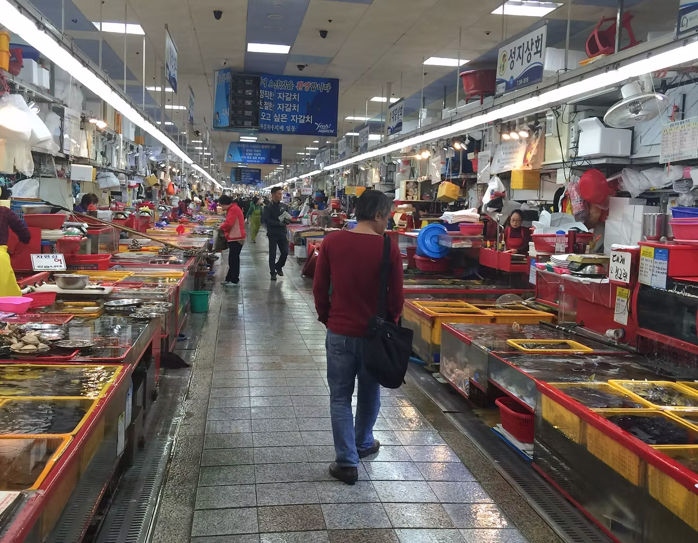 Wet Market Stalls in Busan