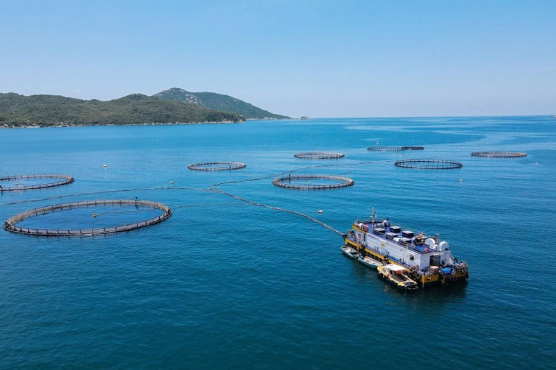 Australis Aquaculture Vietnam